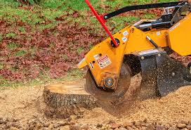 Lawn Grading and Leveling in Stanwood, WA